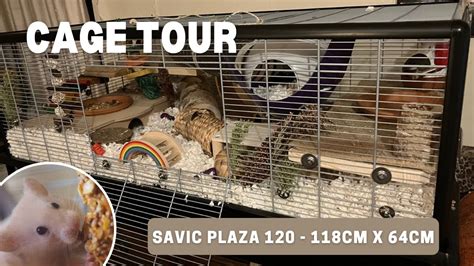 xl hamster|Cage Tour .